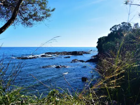 Charmant T2 avec Piscine et Climatisation - Solenzara - Photo 11