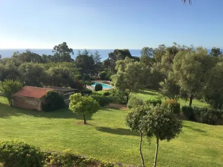 Studio avec Piscine, Proche Plage à Sari-Solenzara - Photo 8