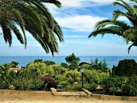 Studio avec Piscine, Proche Plage à Sari-Solenzara - Photo 9