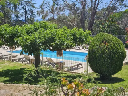 Studio avec Piscine, Proche Plage à Sari-Solenzara - Photo 12