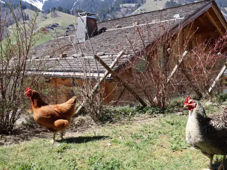 Chalet calme et récent à Arêches-Beaufort, 8 pers, exposé sud, terrasse ensoleillée, proche du village - Photo 9