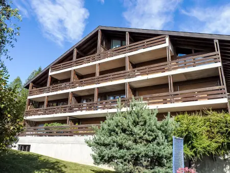 Centaure B RS 2, Appartement 4 personnes à Ovronnaz - Photo 21
