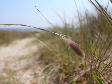 Appartement rénové, calme 300m plage, avec parking et balcon – Beg Meil, Fouesnant - Photo 29
