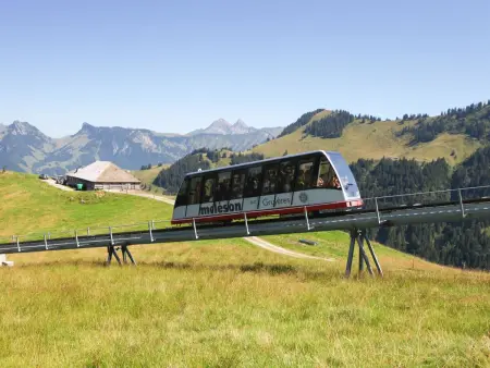 Andromède 3-pièces A34, Appartement 6 personnes à Moléson sur Gruyères - Photo 21