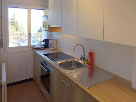 Barzettes-Vacances 558 / Entrée N° 18, Appartement 6 personnes à Crans Montana - Photo 11