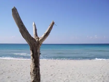 Studio climatisé avec piscine, à 150m de la plage et proche port et commerces - Sari-Solenzara - Photo 11