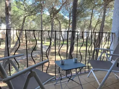 Appartement à Argelès sur Mer, Studio cabine à 200m de la plage, animaux admis, proche commerces - L883832