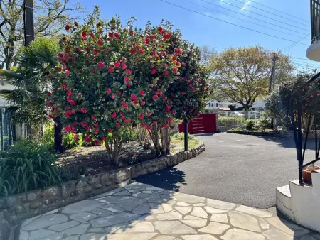 Rez-de-jardin rénové avec terrasse à Cambo-les-Bains, T1 Bis pour 2 personnes, équipé et lumineux - Photo 1