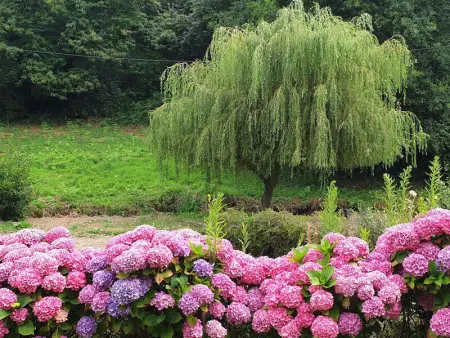 Maison rénovée pierre, jardin, WIFI, 400m mer, St Quay-Perros - Photo 1