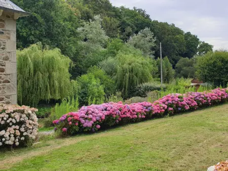 Maison rénovée pierre, jardin, WIFI, 400m mer, St Quay-Perros - Photo 13