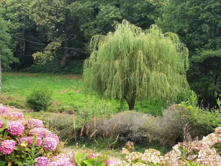 Maison rénovée pierre, jardin, WIFI, 400m mer, St Quay-Perros - Photo 20