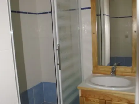 Appartement rénové 2 pièces avec balcon à 50m des pistes - Photo 3