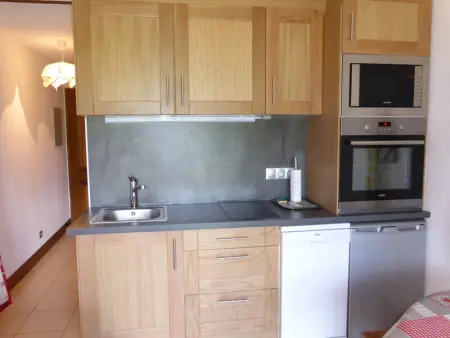 Studio cosy pour 4 avec terrasse et garage, face téléski du Bouchet à Combloux - Photo 1