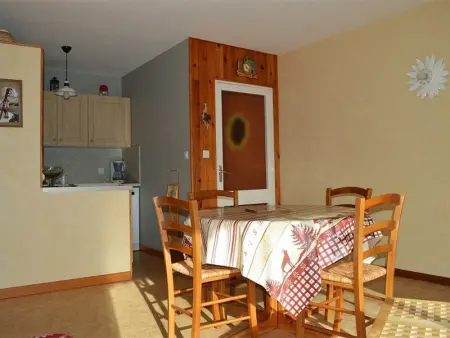 Appartement 2 pièces 6 pers, proche pistes, terrasse, animaux acceptés - Photo 6