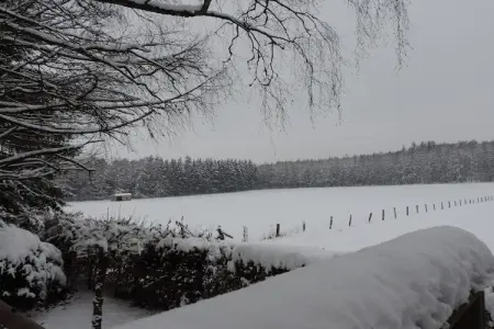 Au Hotleu maison reuter, Maison de vacances à Waimes avec jardin privé - Photo 31