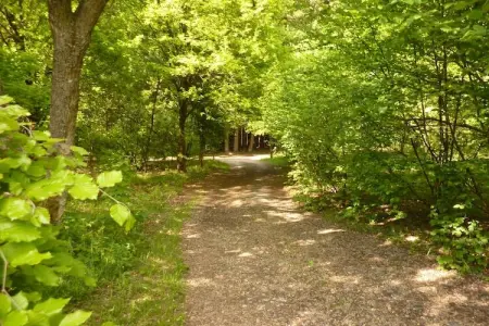 Manonfa, Chalet Sénéric, Trois-Ponts - Photo 27