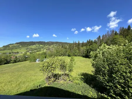 Appartement cosy 2 pièces, 6 couchages, balcon, garage et casier à skis, Demi-Quartier - Photo 10