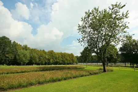 Goed van den Bogaerde, Ferme de Beernem avec piscine - Photo 35