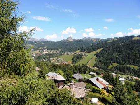 Chalet familial aux Gets avec cheminée et terrasse panoramique - Photo 1
