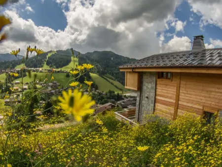 Chalet familial confortable, proche navette, garage, WiFi - Photo 12