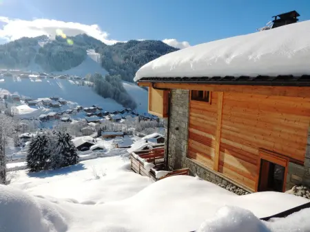 Chalet familial confortable, proche navette, garage, WiFi - Photo 13