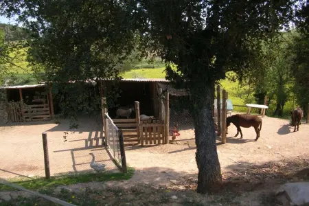 Can Rajoler, Gîte à Riudarenes avec piscine privée - Photo 32