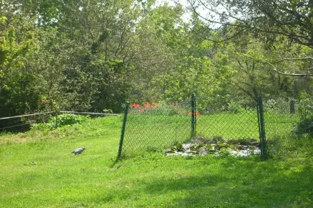 Can Rajoler, Gîte à Riudarenes avec piscine privée - Photo 36