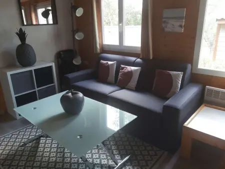 Chalet climatisé avec piscine chauffée et parking dans une pinède calme - Photo 1