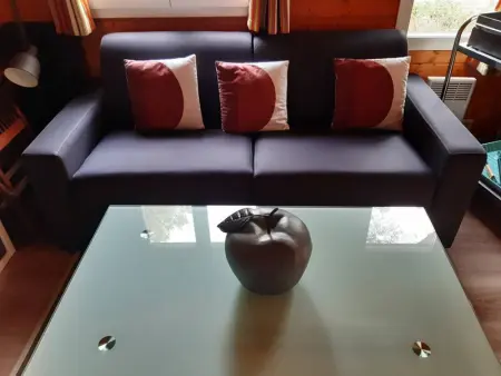 Chalet climatisé avec piscine chauffée et parking dans une pinède calme - Photo 13