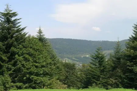 Ronds Chetys, Chalet Ventron avec vue sur la colline - Photo 22