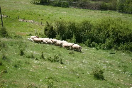 Augusto, Ferme près du Lac Trasimène avec piscine - Photo 26