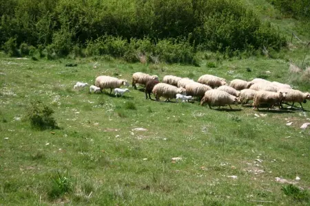 Augusto, Ferme près du Lac Trasimène avec piscine - Photo 27