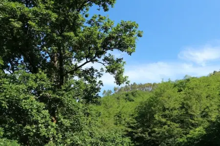 Casa Marcellini, Maison à Rio proche des villages côtiers - Photo 21