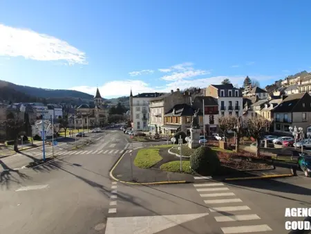 LA BOURBOULE CENTRE - Beau T2 rénové, wifi et cuisine équipée - Photo 8