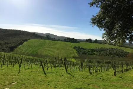 Fienile, Ferme avec vue sur la piscine - Photo 31