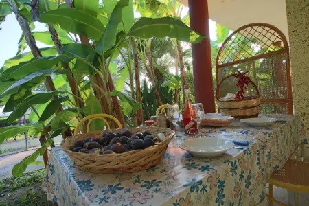 Heaven, Maison de vacances méditerranéenne pour 4 - Photo 27