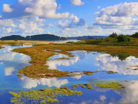 Maison de charme avec jardin, terrasse et WIFI, à 600m de la mer à Pleumeur-Bodou - Photo 19