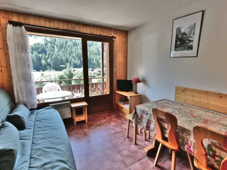 Appartement 2 pièces + coin montagne, balcon sud, au centre du village - Photo 1