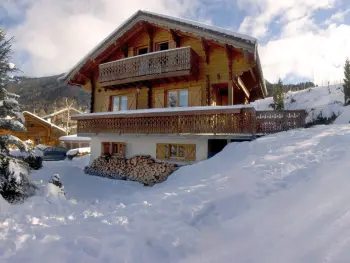 Chalet a Les Carroz d'Arâches,Chalet 3 chambres calme, poêle à bois, proche piste et village, 6/8 pers, garage et parking FR-1-572-243 N°831988