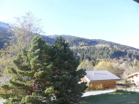 Chalet cosy aux Contamines-Montjoie pour 8 personnes, familial, parking, animaux admis - Photo 13