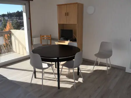 Confortable T2, 6 pers, ascenseur, balcon, proche pistes, parking, Bolquère - Photo 4