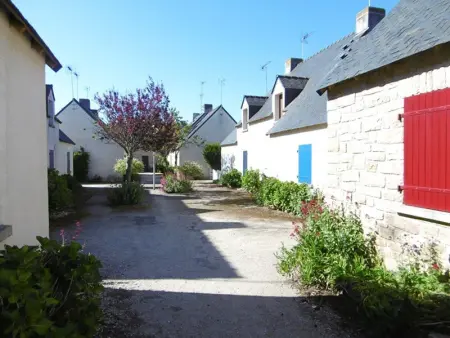 Charmante maison 3 pièces, 200m plage, jardin clos, garage, accepte animaux, Sarzeau - Photo 17