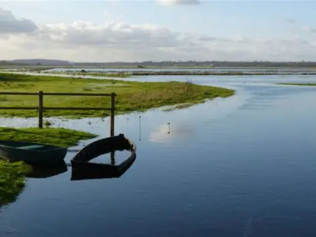 Gîte Charmant Proche Plages du Débarquement avec Jardin Privé et Confort Moderne - Photo 17