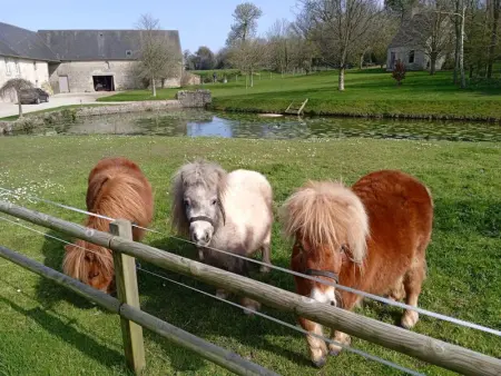 Gîte Charmant Proche Plages du Débarquement avec Jardin Privé et Confort Moderne - Photo 19
