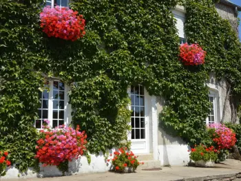 Gite à Doville,Maison de caractère avec jardin privé, proche plages et randonnées, animaux acceptés FR-1-362-47 N°832302