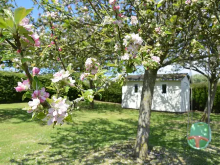 Maison spacieuse près de la côte du Cotentin, Gite 8 personnes à Les Moitiers d'Allonne - Photo 27