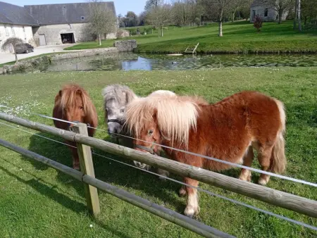 Maison campagne proche plage, animaux admis, WiFi - Photo 13