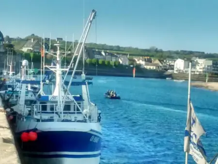 Maison en pierre avec jardin clos, animaux admis - Photo 18