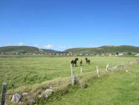Maison en pierre avec jardin clos, animaux admis - Photo 23
