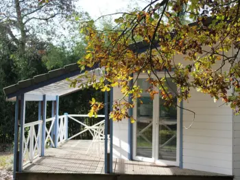 Gite à Taller,Chalet paisible avec piscine chauffée entre forêt et océan, proche Dax et plage FR-1-360-87 N°832429